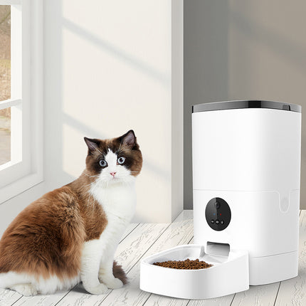PaWz 6L Auto Feeder Pet Automatic Camera-1975420452721528838