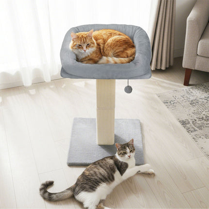 Pawz Cat Scratcher Big Perch Bed-2006732791278080006