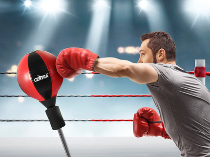 Centra Boxing Punching Bag Speed Ball Free Standing Reflect Reaction Training-1954802362984042502