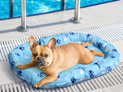 Pawz Pet Cooling Mat S Blue-1910112256797052934