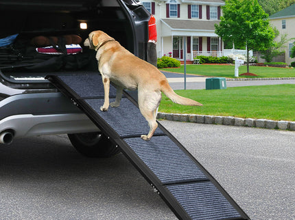 Pawz Dog Ramp-1910112249842896901
