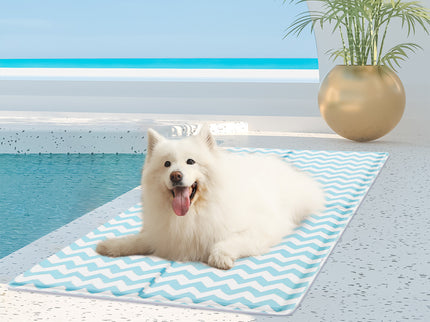Pawz Pet Cooling Mat XL Blue-1910112257275203590