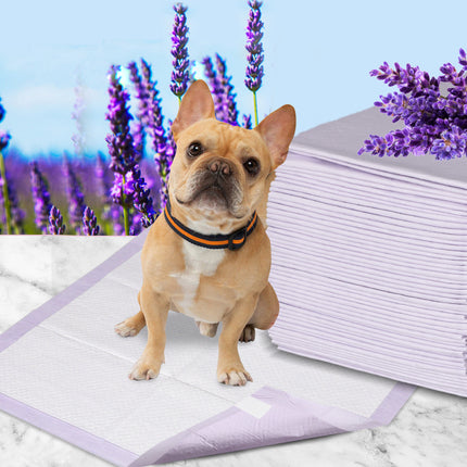 PaWz 400x Pet Dog Toilet Training Pad-1973193682102390790