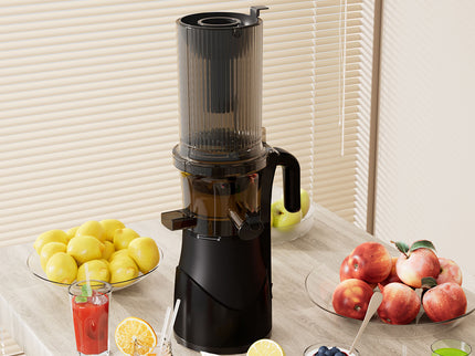 Spector Juicer Cold Press Vegetable Fruit Juice-1910149774657589254