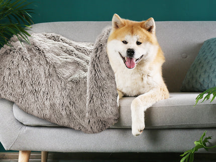 PaWz Dog Blanket Pet Cat Mat Puppy Warm Brown-1864184527837073414