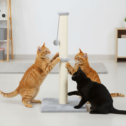 Pawz Cat Scratcher Scratching Post-2006732790871232518