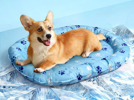 Pawz Pet Cooling Mat M Blue-1910112256155324422
