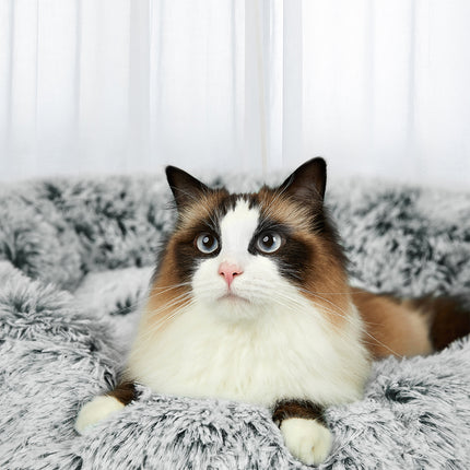 PaWz Pet Bed Memory Foam Dog Donut Charcoal Large-1973193686489632774