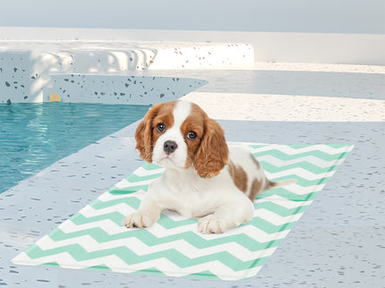 Pawz Pet Cooling Mat S Green-1910112256960630790