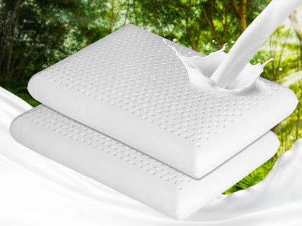 Dreamz 2x Natural Latex Pillow Removable-1910113194106556422