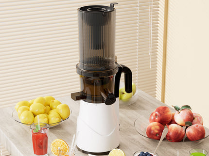 Spector Electric Cold Press Juicer Whole Fruit-1910149774825361414