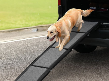 Pawz Dog Ramp-1910112250488819718