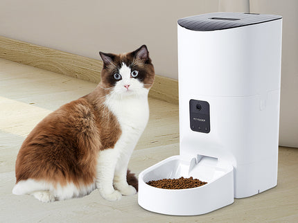 PaWz 6L Auto Feeder Pet Automatic Camera-1864184513605799943