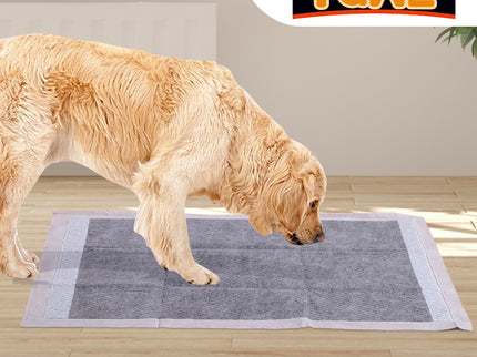 PaWz 100 Pcs 60x60cm Charcoal Pet Puppy-1910112998027038726
