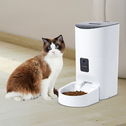 PaWz 6L Auto Feeder Pet Automatic Camera-1975420452721528839