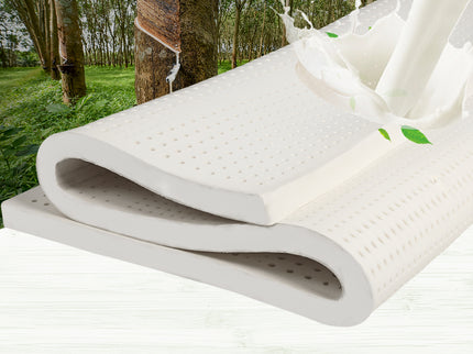 Dreamz Latex Mattress Topper Queen Bed-1864184430520832007