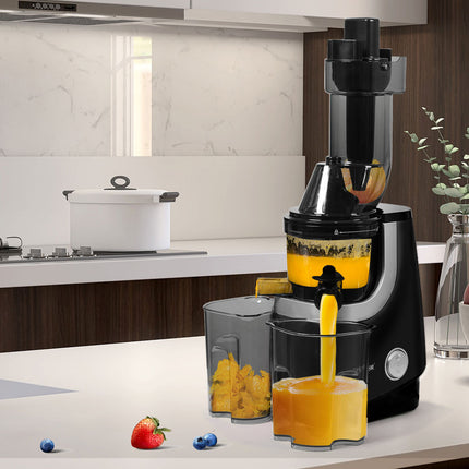 Spector Slow Juicer Cold Press Whole Black-1973193896179666951