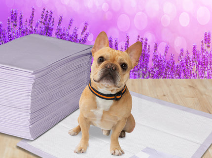 PaWz 400x Pet Dog Toilet Training Pad-1864184552445054983