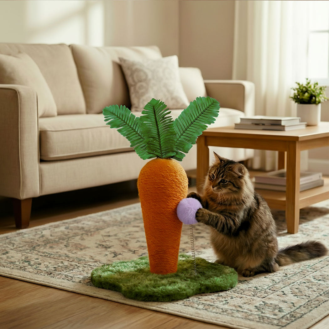 Pawz Cat Scratching Post Cute Carrot Scratching Post-2029387297723650055