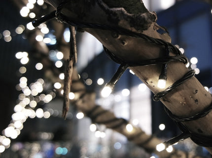 15M Solar Powered Fairy String Lights-1864184474233868295