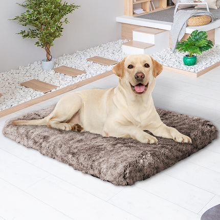 PaWz Dog Mat Pet Calming Bed Memory L Coffee Large-1973193658912083975