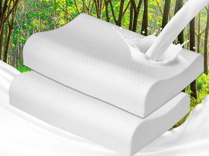 Dreamz 2x Natural Latex Pillow Removable-1910113194286911495