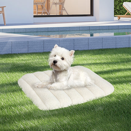 Pawz S Size Orthopedic Dog Bed with Sherpa Plush Removable Cover in White-2018816662094090247