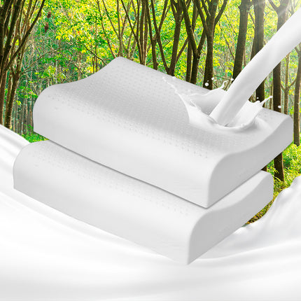 Dreamz 2x Natural Latex Pillow Removable-1973194023480987655