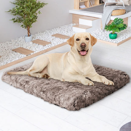PaWz Dog Mat Pet Calming Bed Memory L Coffee Large-1954802545780199431