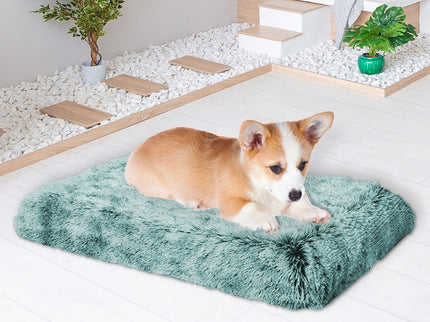 PaWz Dog Mat Pet Calming Bed Memory S Green Small-1864184530441736199
