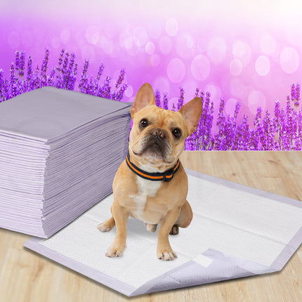 PaWz 400x Pet Dog Toilet Training Pad-1973193682102390791