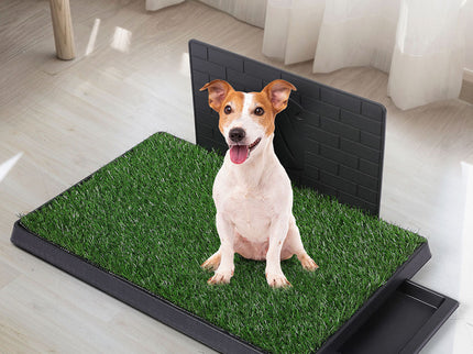 PaWz Indoor Dog Pet Grass Potty Training L-1886651039382376455