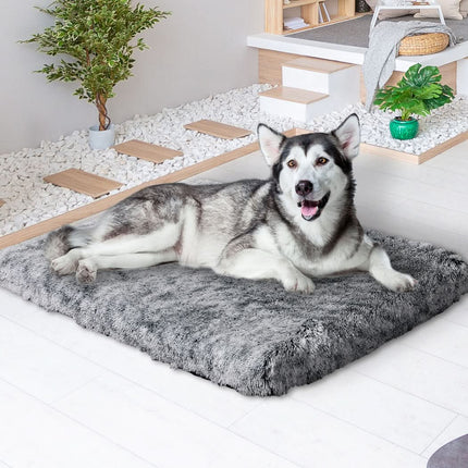 PaWz Dog Mat Pet Calming Bed Memory XL Charcoal X-Large-1954802548108038151