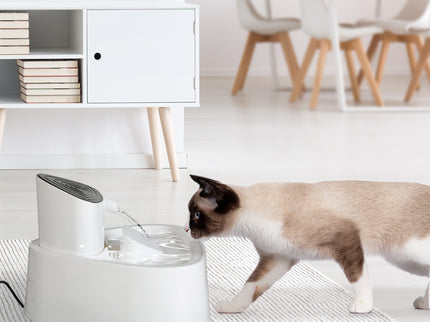 PaWz Electric Pet Water Fountain Drinking-1864184552751239174