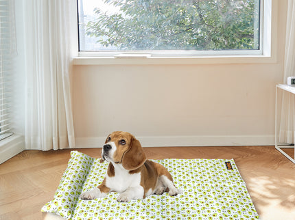 PaWz Pet Cooling Mat Cat Dog Gel Non-Toxic Medium-1864184537987289095