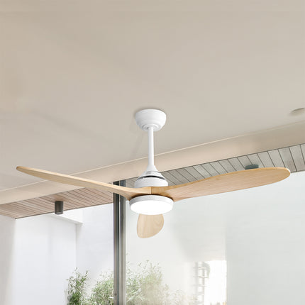 Spector 52'' Ceiling Fan LED Light DC Natural-1973193857323634695