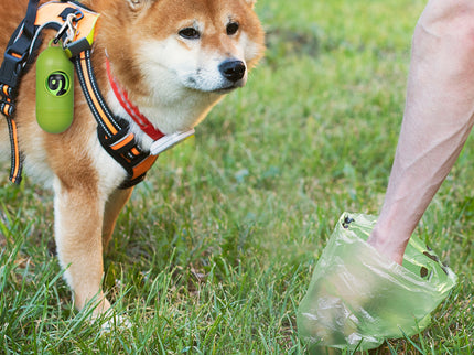PaWz 100% Compostable Biobased Dog Poop-1864184547105705991