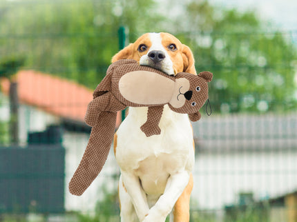 PaWz Dog Chew Toys Squeaky Puppy Pet-1864184547386724359