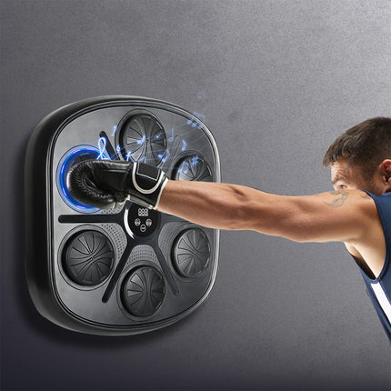 Centra Electronic Punching Box Music Machine Home Training Bluetooth 9 Speeds-1975420382479519751