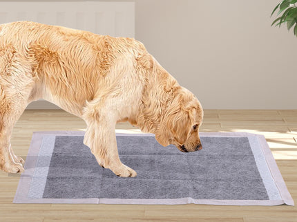PaWz 400 Pcs 60x60cm Charcoal Pet Puppy-1910112998433886214