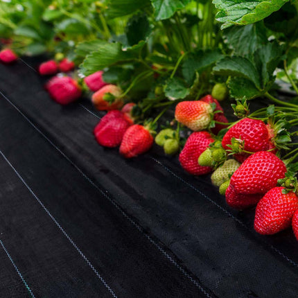 Lambu Weed Mat 1.83mx100m Plant Control XXX-Large-1973193779322163207