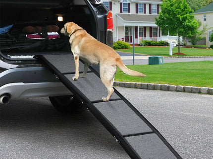 Pawz Dog Ramp-1910112250488819719