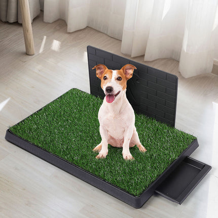 PaWz Indoor Dog Pet Grass Potty Training L-1973193644177494023