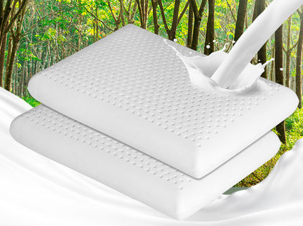 Dreamz 2x Natural Latex Pillow Removable-1910113194106556423