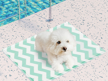 Pawz Pet Cooling Mat S Green-1910112256960630791