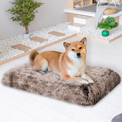 PaWz Dog Mat Pet Calming Bed Memory M Coffee Medium-1973193659692224519