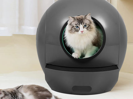 Pawz Smart Cat Litter Box Self-Cleaning Enclosed-1910112218037489671