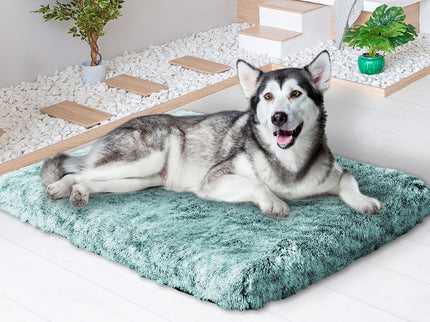 PaWz Dog Mat Pet Calming Bed Memory XL Green X-Large-1864184531033133063