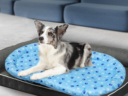 Pawz Pet Cooling Mat L Blue-1910112255454875655