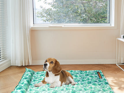 PaWz Pet Cooling Mat Cat Dog Gel Non-Toxic Medium-1886651029328629767